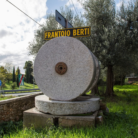 Perugia Olive Oil Mill Tour with Food Tasting - Perugia