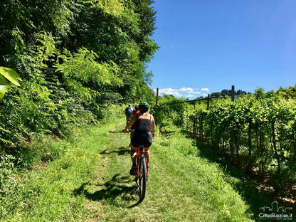 E-Bike Tour and Wine Tasting from Bardolino