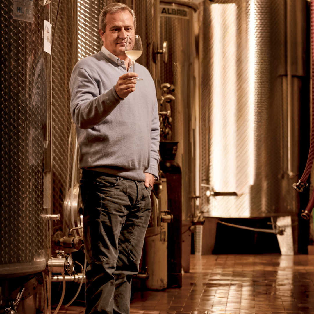 Winery Tour with Wine Tasting in Monterosso, Cinque Terre 5 La Spezia