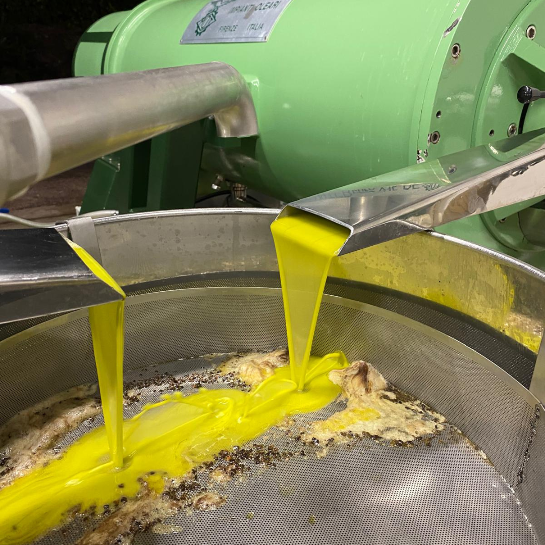 Sustainable Olive Mill Tour with Olive Oil Tasting in Chieti 6 Chieti