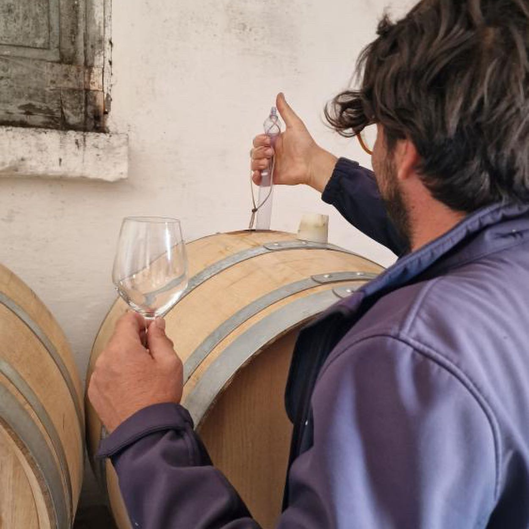 Wine Tasting near Locorotondo & Alberobello with Vineyard Walk 5 Taranto