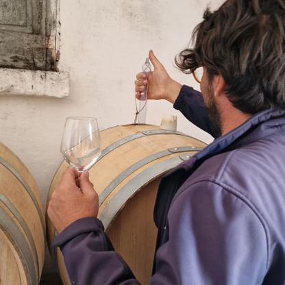 Wine Tasting near Locorotondo & Alberobello with Vineyard Walk 5 Taranto