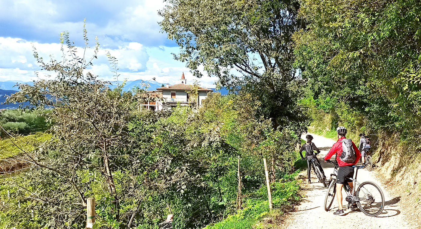 E-Bike Tour and Wine Tasting from Bardolino