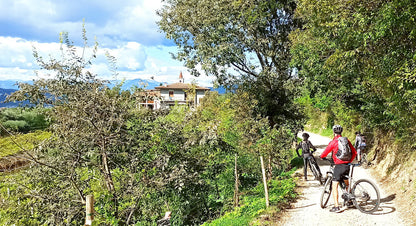 E-Bike Tour and Wine Tasting from Bardolino