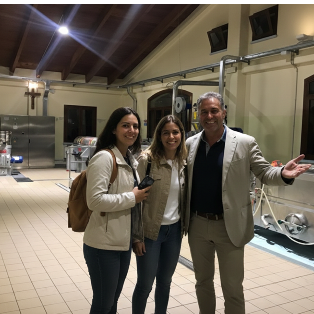 Olive Mill Tour & Guided Tasting near Pesaro 6 Pesaro