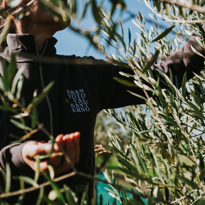 Olive Grove & Oil Mill Tour with Tasting near Bologna 6 Bologna
