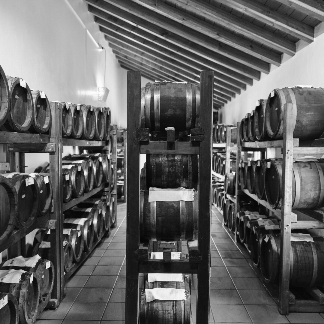 Balsamic Vinegar, Wine Tasting & Tour near Parma & Reggio 5 Reggio Emilia