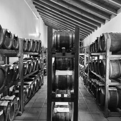 Balsamic Vinegar, Wine Tasting & Tour near Parma & Reggio 5 Reggio Emilia