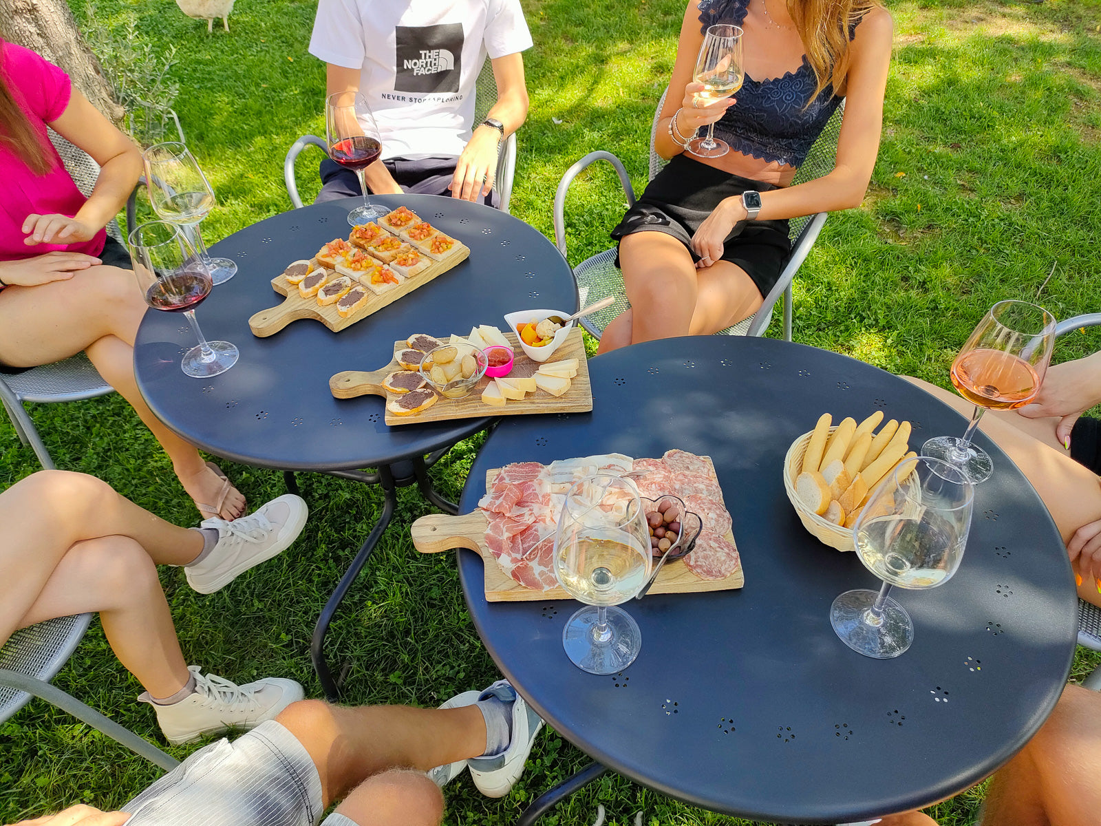 Tour in E-Bike e degustazione di vini nella campagna di Lazise