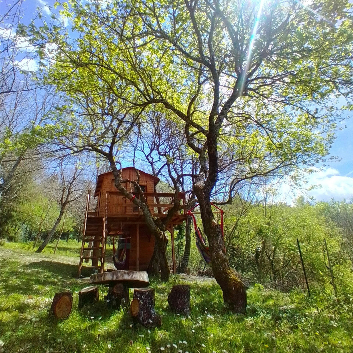 Wild Farm Nature & Animals Experience near Arezzo - Arezzo