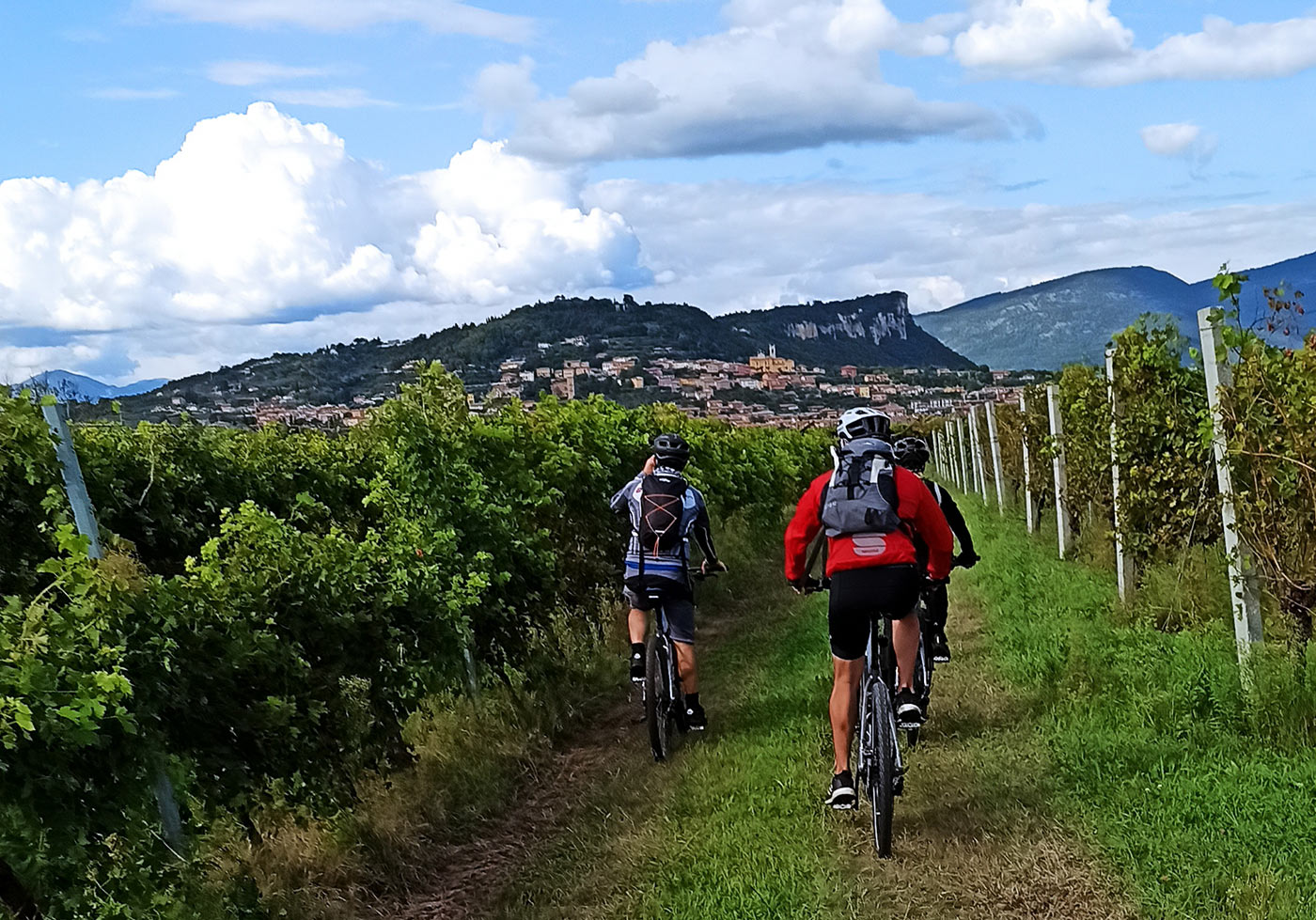 E-Bike Tour and Wine Tasting from Bardolino