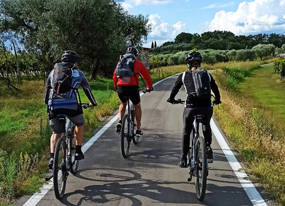 E-Bike Tour and Wine Tasting from Bardolino