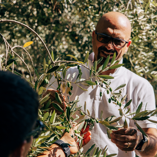 Sustainable Olive Mill Tour with Olive Oil Tasting in Chieti 1 Chieti