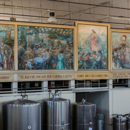 Winery Tour with Wine and Food Tasting near Oristano 4 Oristano