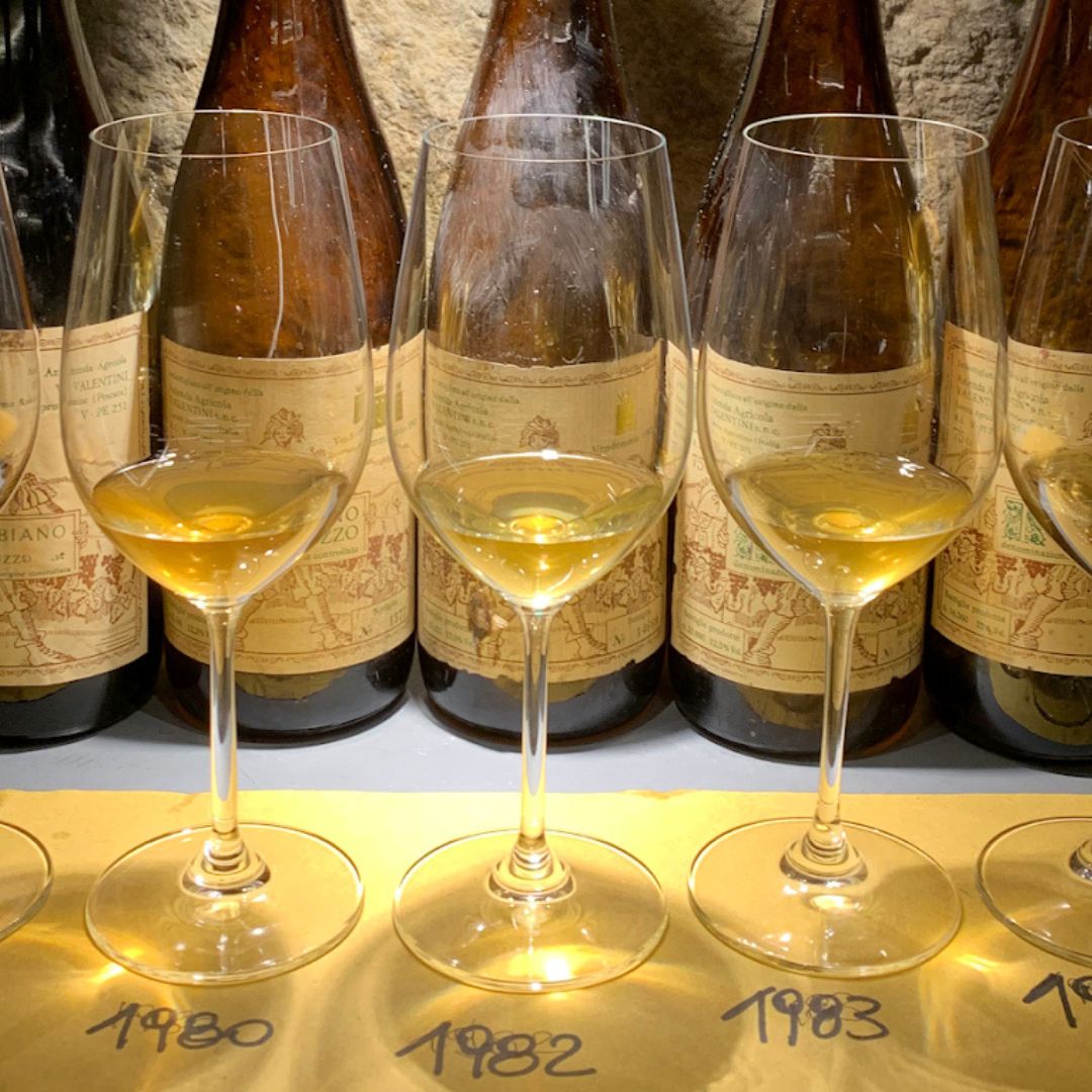 Wine Tasting with Local Bites in Pisa