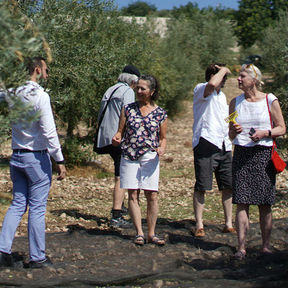 Olive Grove Tour, Oil Tasting & Food in Licata, Agrigento 4 Agrigento