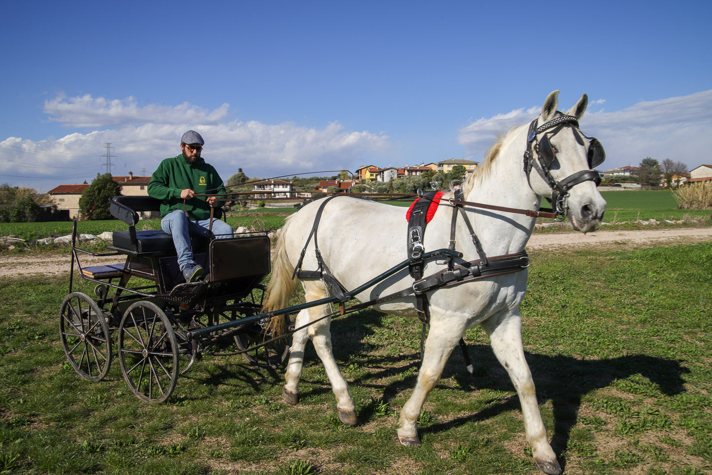 Horse Carriage Tour and tasting of local food in Lazise