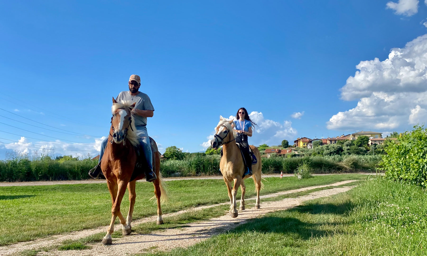 Horseback riding with wine and food tasting in Lazise countryside