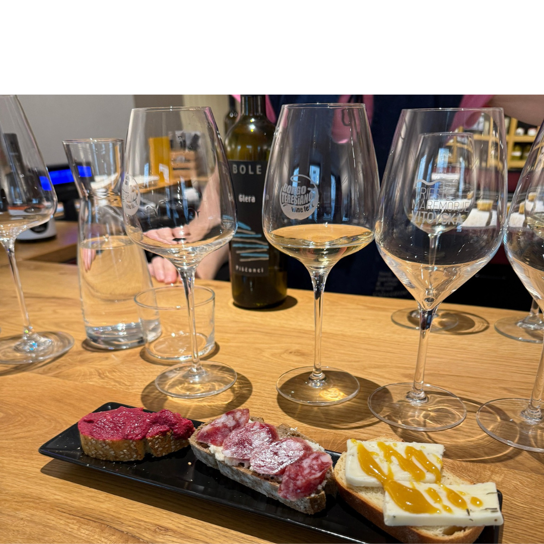 Wine Tasting with food pairings in Trieste City Center 2 Trieste