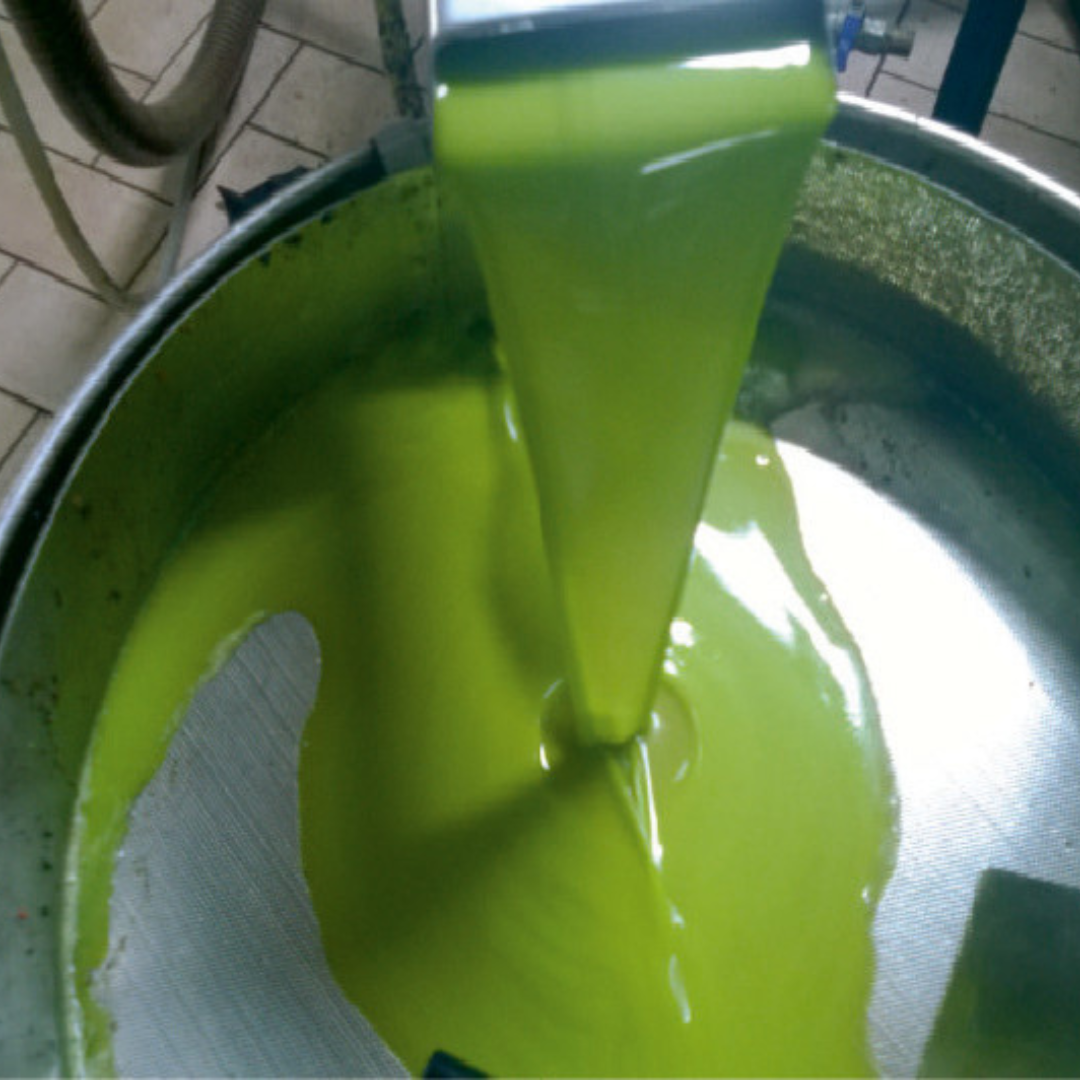 Olive Oil Tasting with Optional Olive Grove Walk near Rimini 5 Rimini