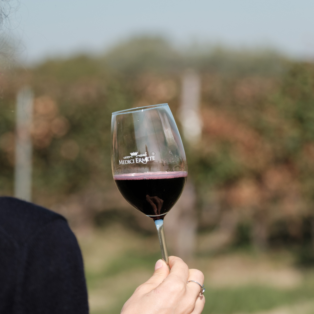 Balsamic Vinegar, Wine Tasting & Tour near Parma & Reggio 4 Reggio Emilia