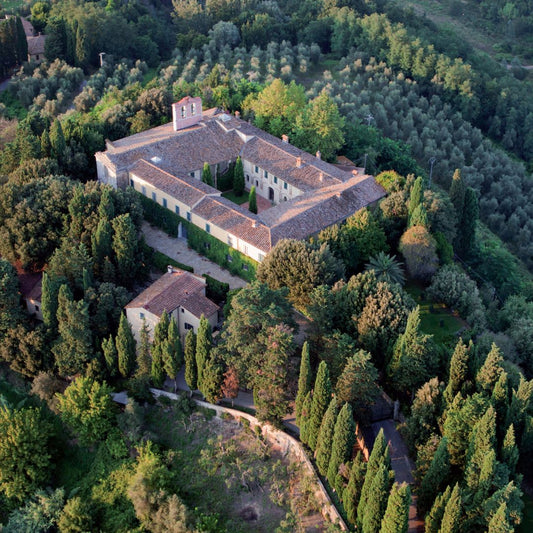Abbey Tour, Wine Tasting and Light Lunch near Pisa