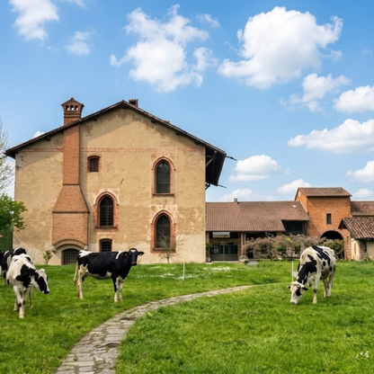 Immersive Farm Park Tour with Cheese Tasting near Milan - Milano
