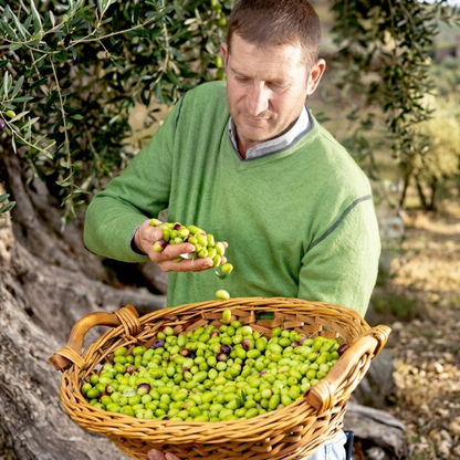 Olive Grove Tour with EVO Oil Tasting & Aperitivo in Vieste 2 