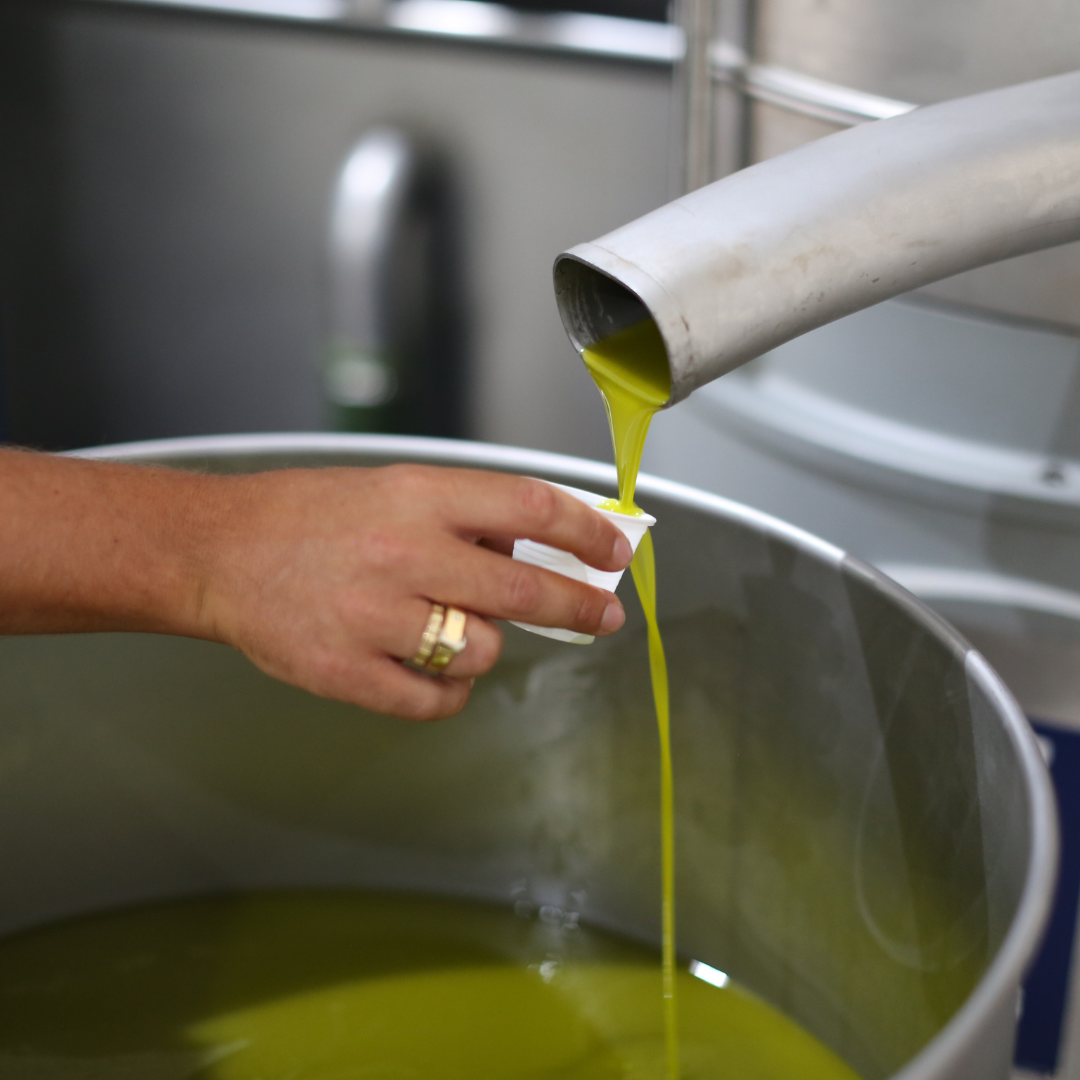 Olive Mill Tour & Grove Walk with Tastings near Ragusa 1 Ragusa