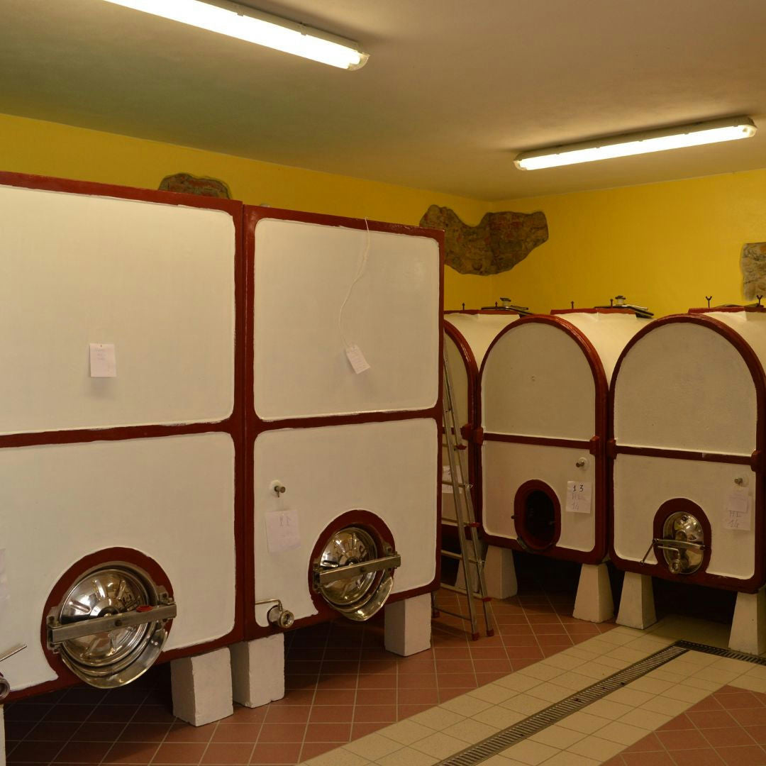Winery Tour with Wine Tasting & Local Food near Tortona 4 Alessandria