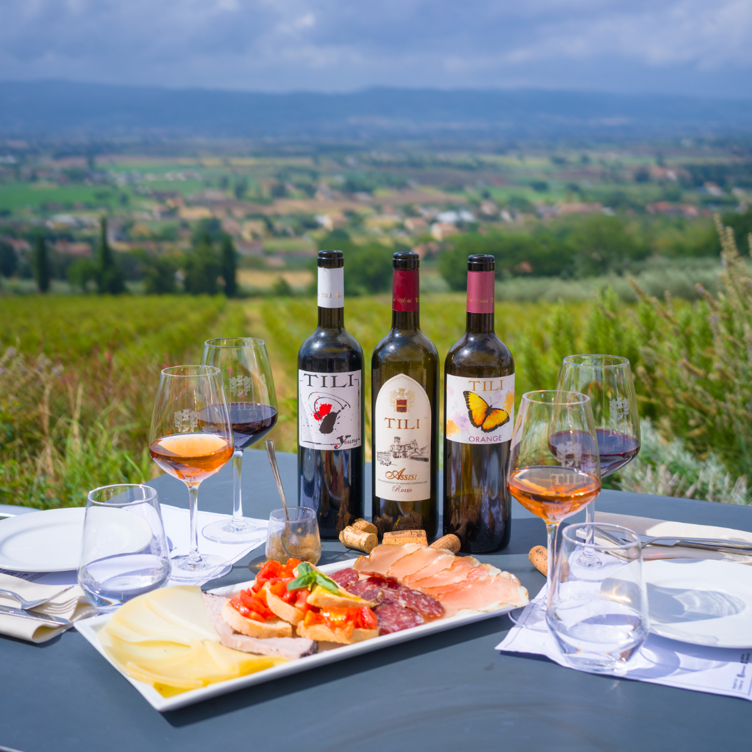 Organic Wine Tasting, Local Food & Vineyard Walk near Assisi 2 Perugia