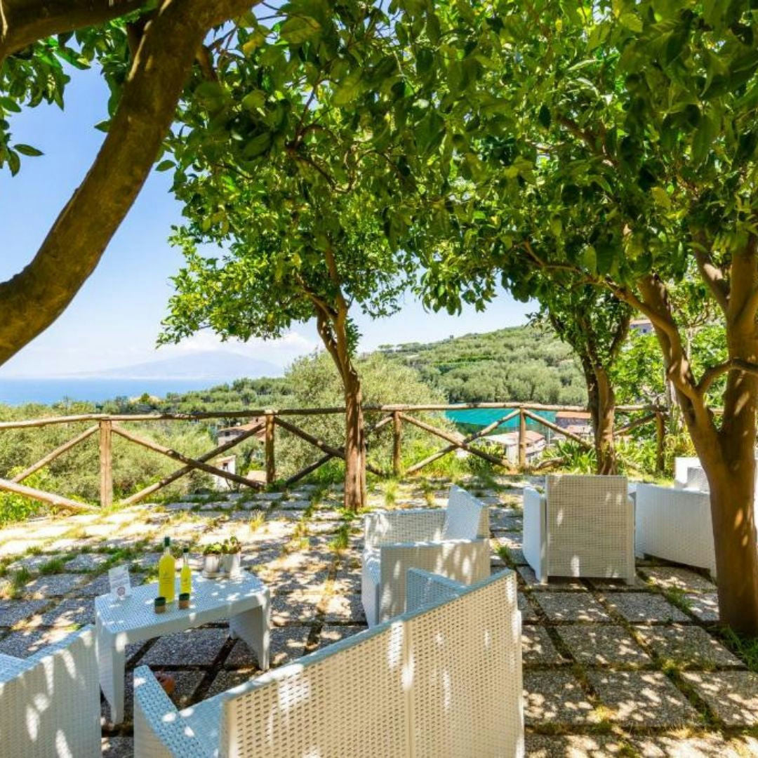 Lemon Grove Walk, Tasting and Oper Bar Aperitivo in Sorrento 4 Naples