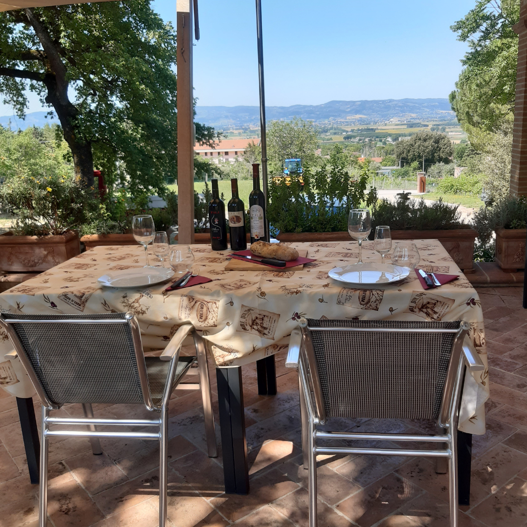 Organic Wine Tasting, Local Food & Vineyard Walk near Assisi 6 Perugia