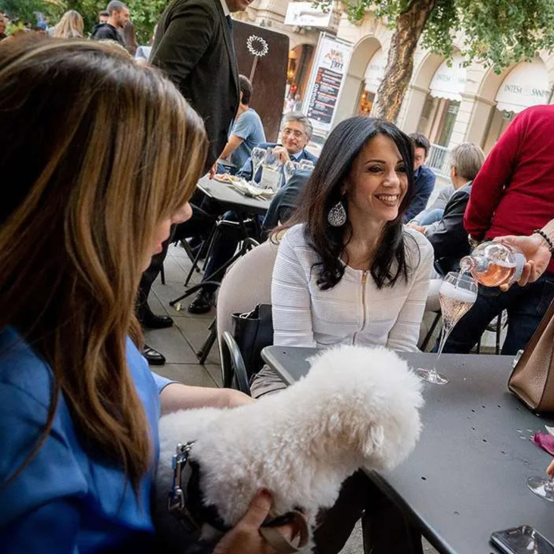 Luxury Wine Tasting with Finger Foods in Alba City Center 4 Cuneo