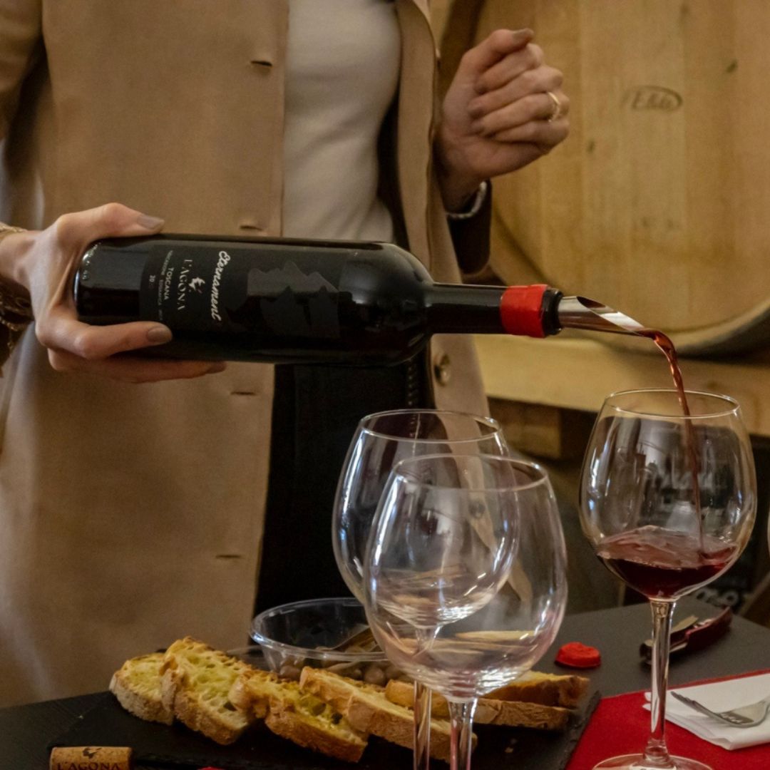 Vineyard & Cellar Tour with Wine Tasting near Pisa