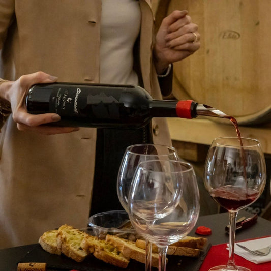 Vineyard & Cellar Tour with Wine Tasting near Pisa