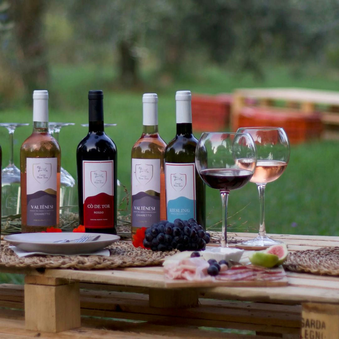 Winery Tour with Wine and Food Tasting near Lake Garda 2 Brescia
