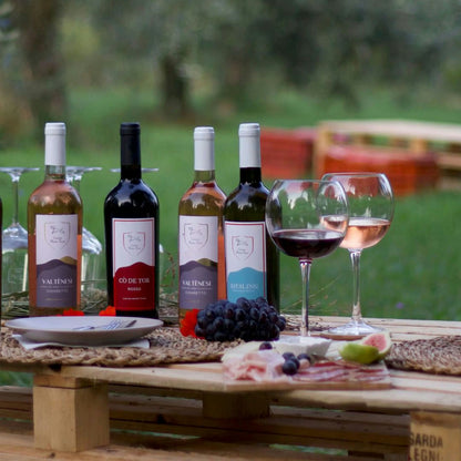 Winery Tour with Wine and Food Tasting near Lake Garda 2 Brescia
