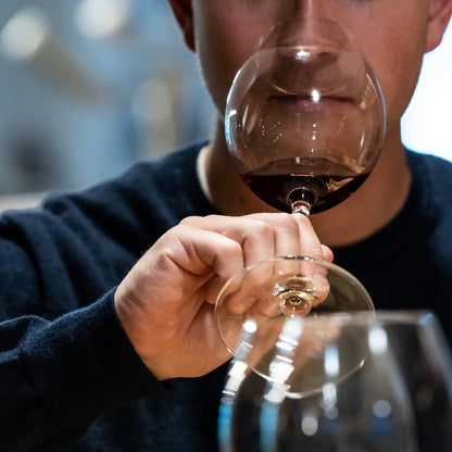 High‑Altitude Alpine Cellar Tour & Wine Tasting in Valle d’Aosta 3 Aosta