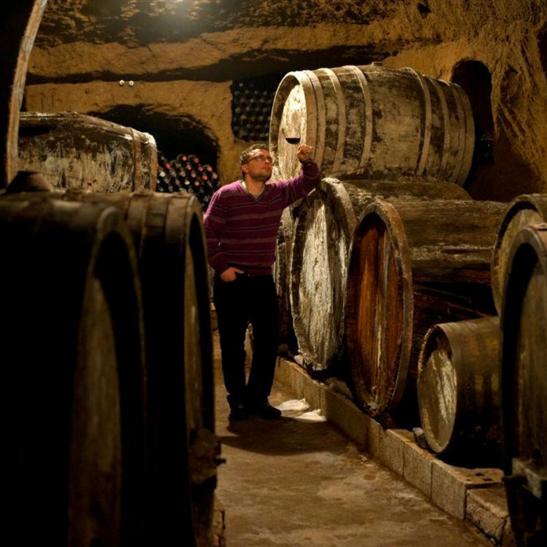 Wine Tasting with Food and Tufa Cellar Visit in Orvieto 1 Terni