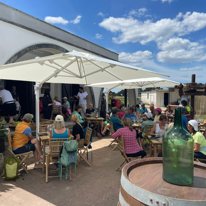Winery Tour with Wine Tasting & Light Lunch near Otranto 2 Lecce