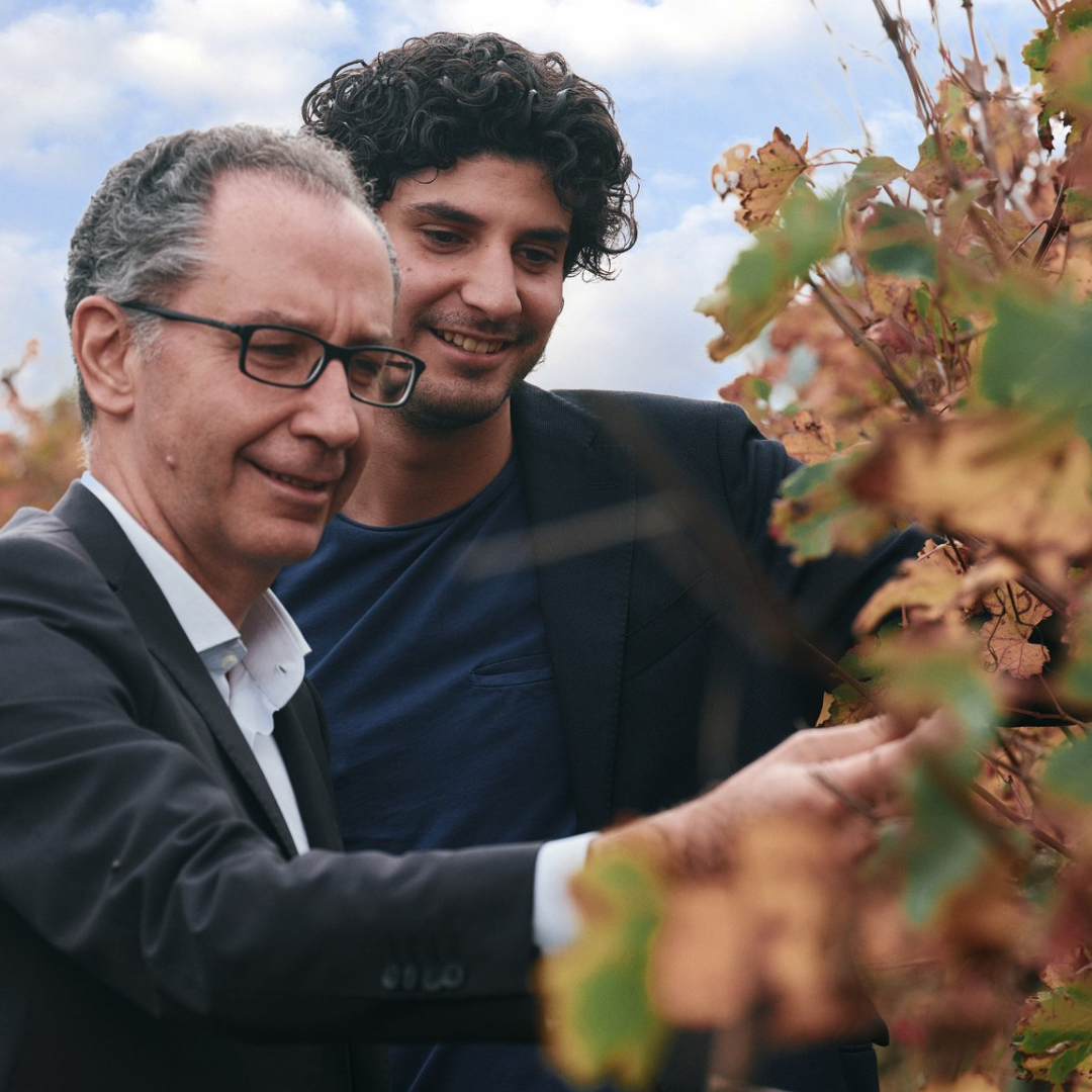 Balsamic Vinegar, Wine Tasting & Tour near Parma & Reggio 1 Reggio Emilia