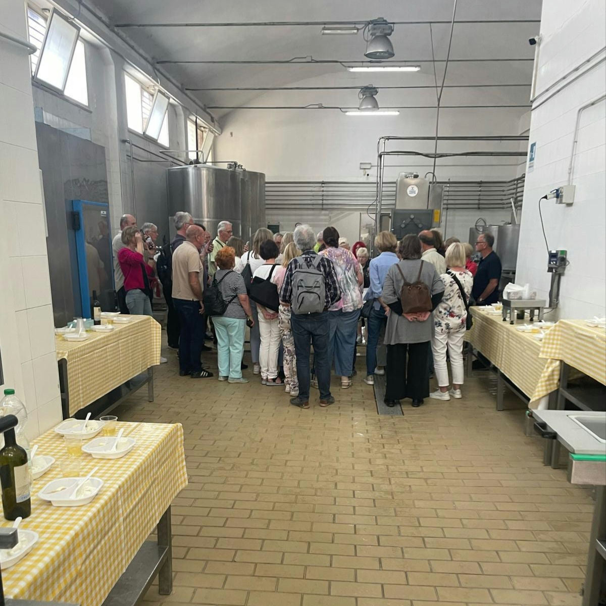 Mozzarella Making Show with Tasting in Bari 5 Bari