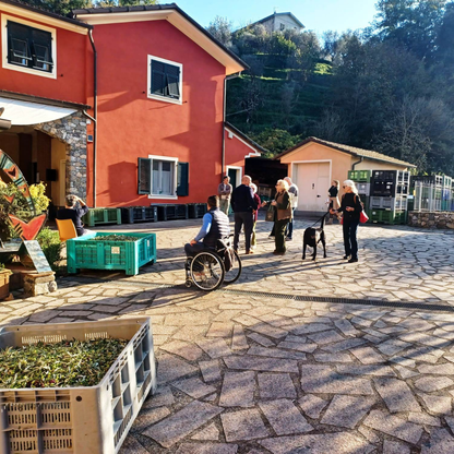 Oil Mill and Stone Mill Tour with Tastings in Cinque Terre 4 La Spezia