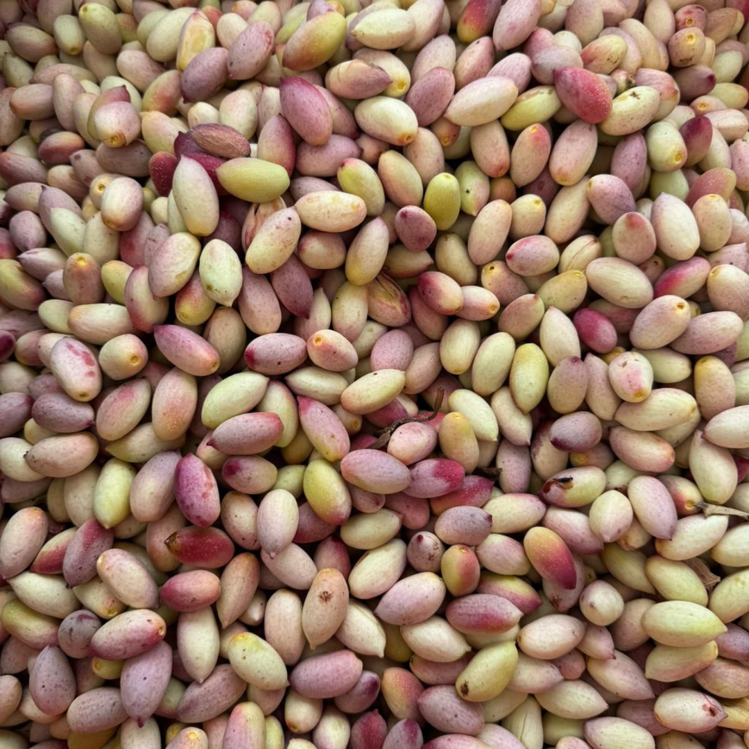 Pistachio Grove Tour with Tastings in Bronte near Etna 3 Catania