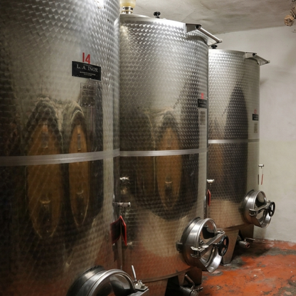 Winery & Vineyard Tour with Guided Tasting near Pisa 5 Pisa