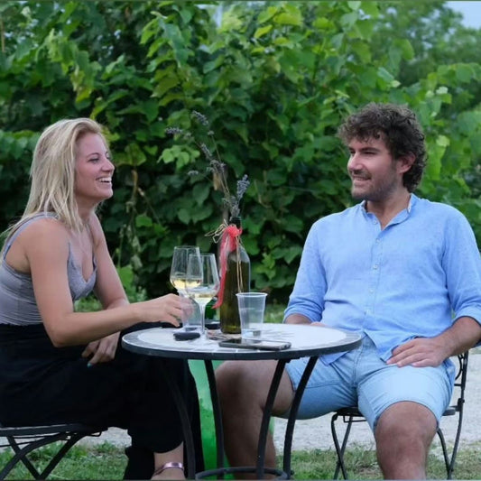 Dolomites Winery Tour and Wine Tasting near Belluno 1 Belluno
