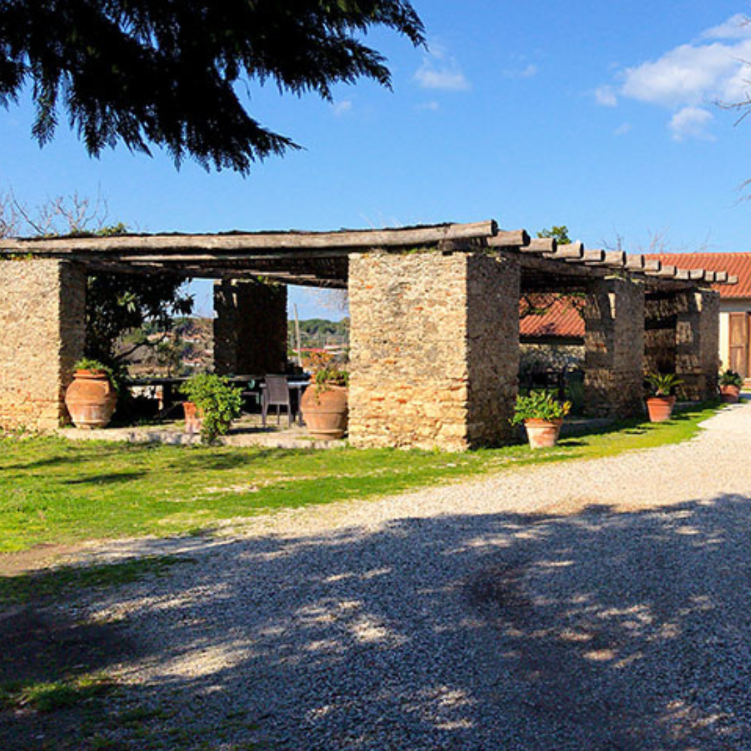 Buffalo Farm Tour with Mozzarella-based Lunch in Paestum 2 Salerno