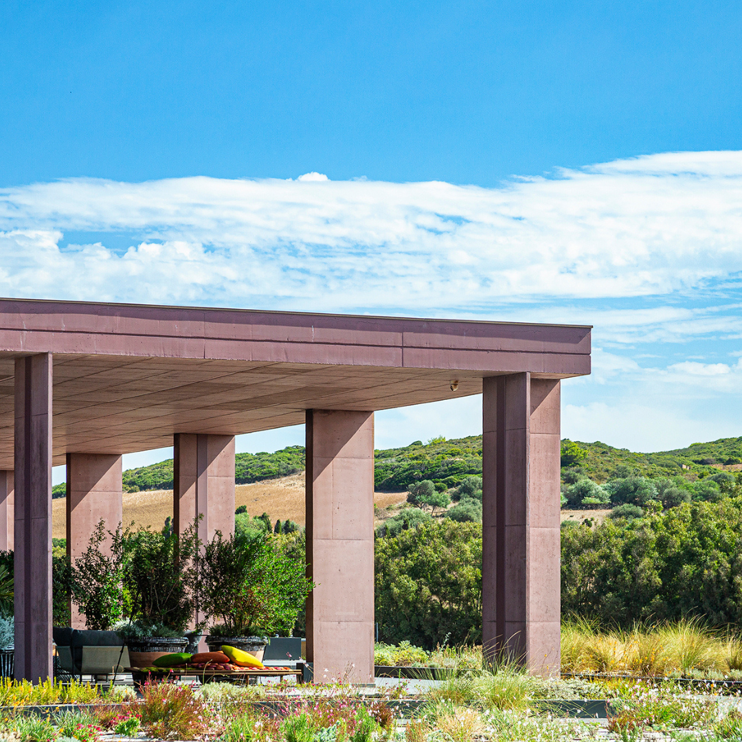 Luxury Winery Tour with Tasting & Food Pairing in Alghero 8 Sassari