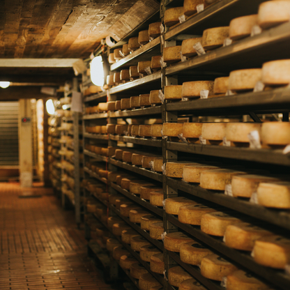 Cheese Cellar Tour with Tasting and Wine at Lake Maggiore 5 Novara